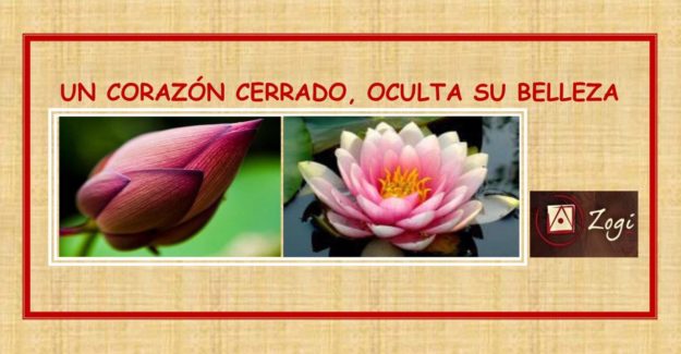 Capullo Flor de Loto